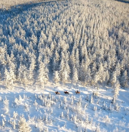 Maastovaellusta talvella Kuusamon metsämaisemissa. Kuva Ruska Laukka