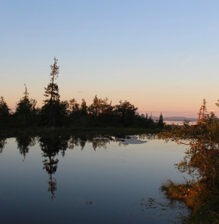 Ikkunalampi Riisitunturin kansallispuistossa. Kuva MunPolku/MyTrail