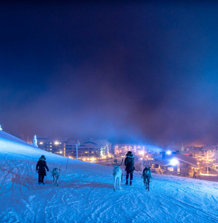 Kujalan Porotilan Poro rukalla
