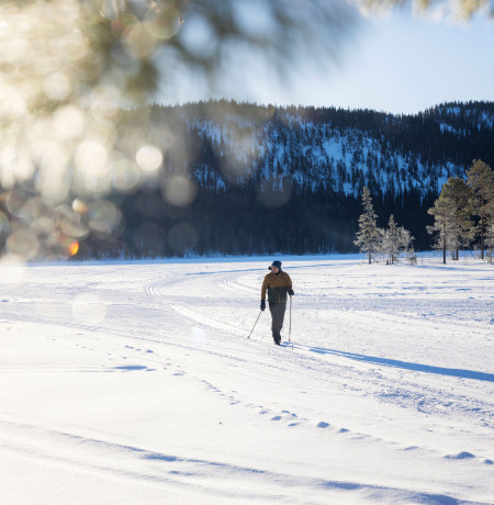 Hiihtäjä Konttaisen maisemissa Rukalla. Kuva Harri Tarvainen/Kotakollective