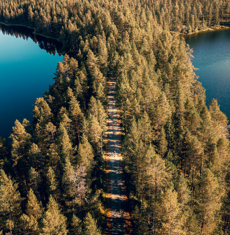 Gravel rider in a ridge landscape in Kuusamo. Photo Toni Spasenoski