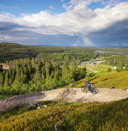 Ruka Bike Park, Ruka-Kuusamo. Kuva Harri Tarvainen