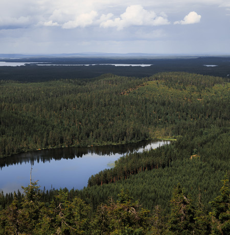 View from Ruka towards Valtavaara pond. Photo Mikko Santasalo