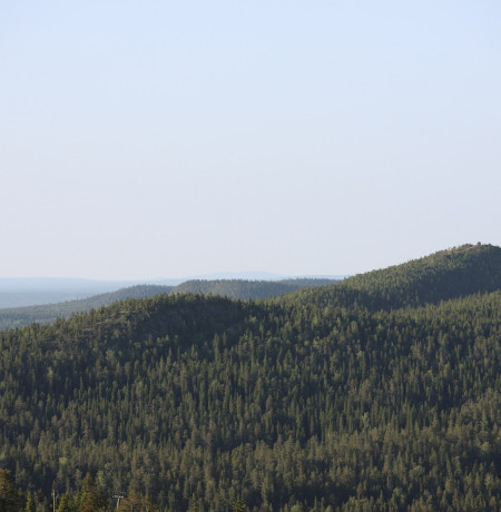 Rukan kesämaisema
