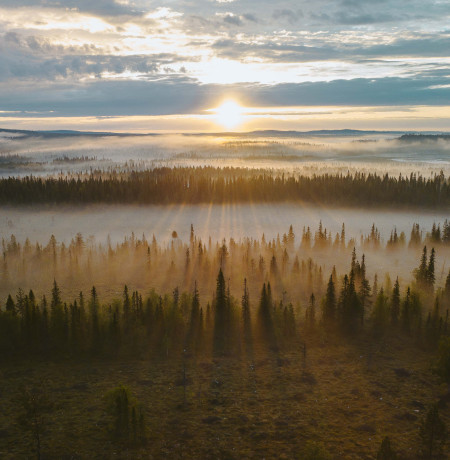 ruka-kuusamo_6_2019_keskiyonaurinko_amslebrun (1).jpg