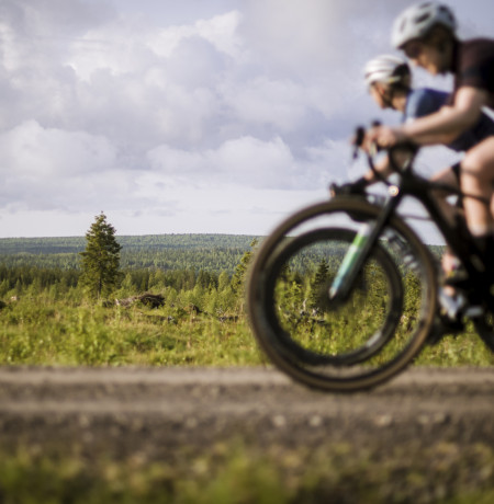 rukakuusamo_lapland_finland_gravel_PhilipGale (22).jpg