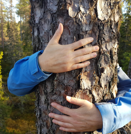 forestyoga
