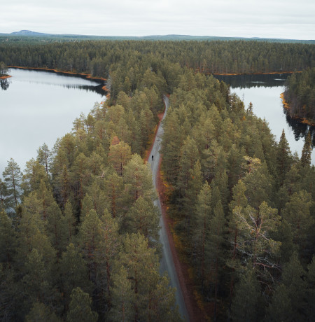 Korpi Gravel_syksy_Oulanka Wild Ride