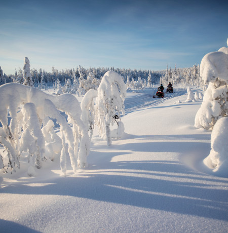 Arctic snowmobile safari Ruka-Kuusamo