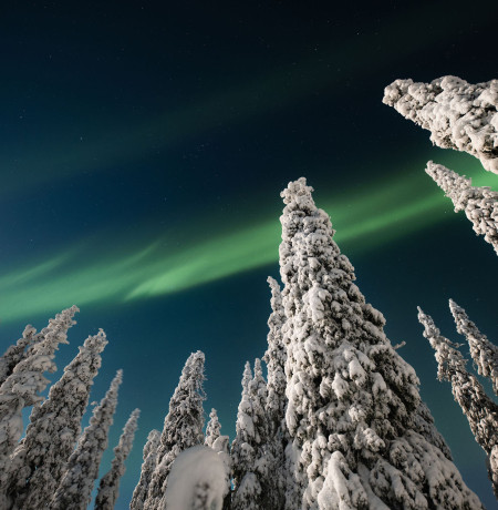 Northern lights electric snowmobile safari Ruka Kuusamo