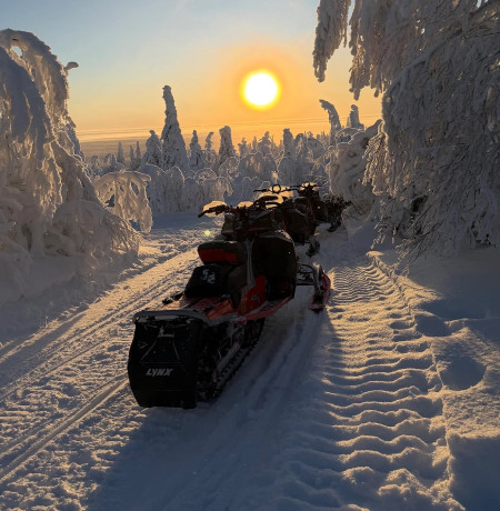 Moottorikelkka auringonlaskussa tykkypuiden keskellä. Kuva Stella Polaris Adventures