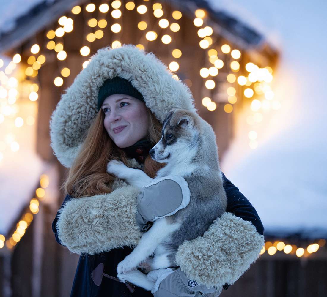 Ihana huskynpentu, Lammintupa Winter Village, Ruka-Kuusamo