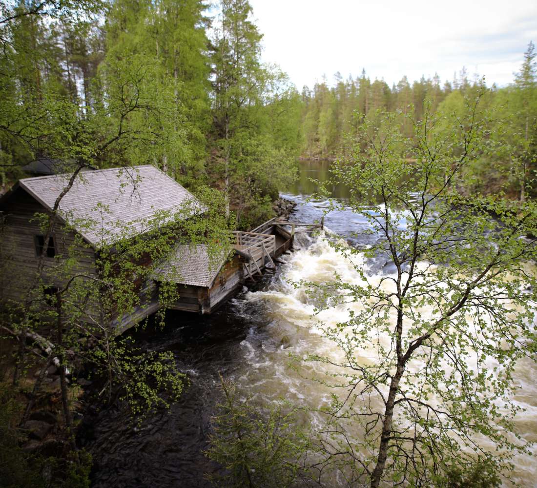 Myllykoski alkukesällä, kuva Veera Vihervaara