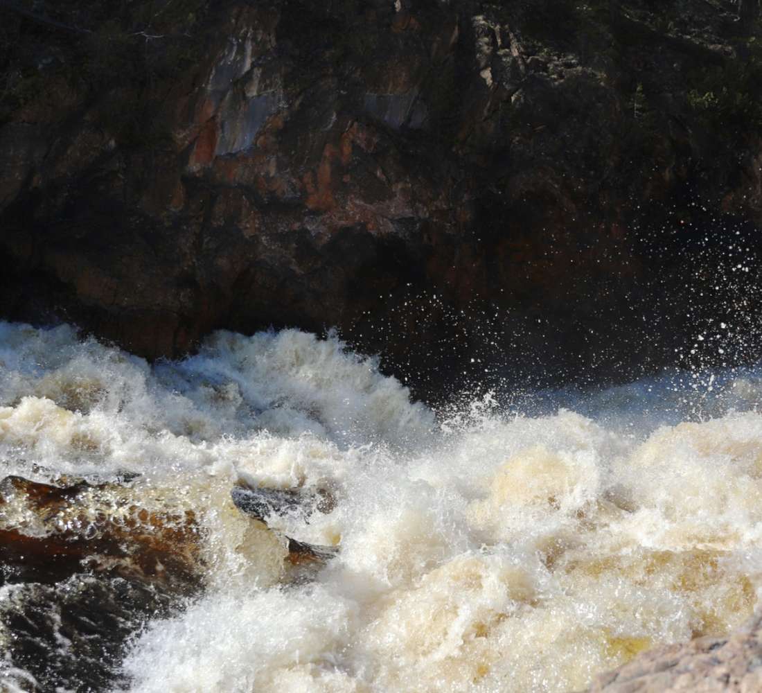 Kiutaköngäs, Oulangan kansallispuisto