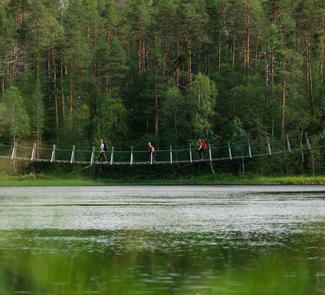 Riippusilta Oulangan kansallispuistossa, kuva Jani Kärppä