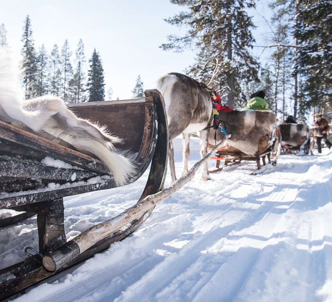 Rekiajelu Kujalan Porotilalla