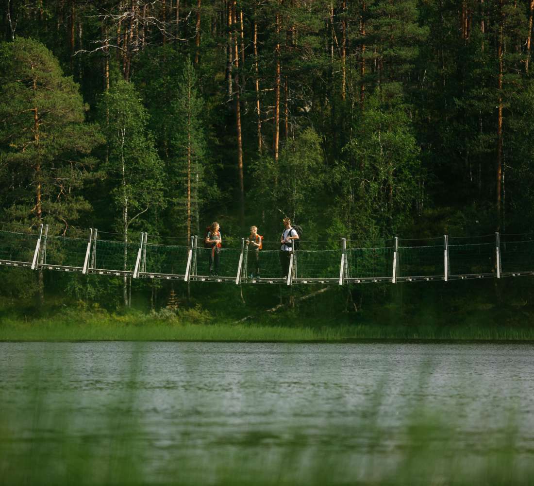 Riippusilta Karhunkierroksen varrella, Oulangan kansallispuisto, Kuusamo. Kuva Jani Kärppä