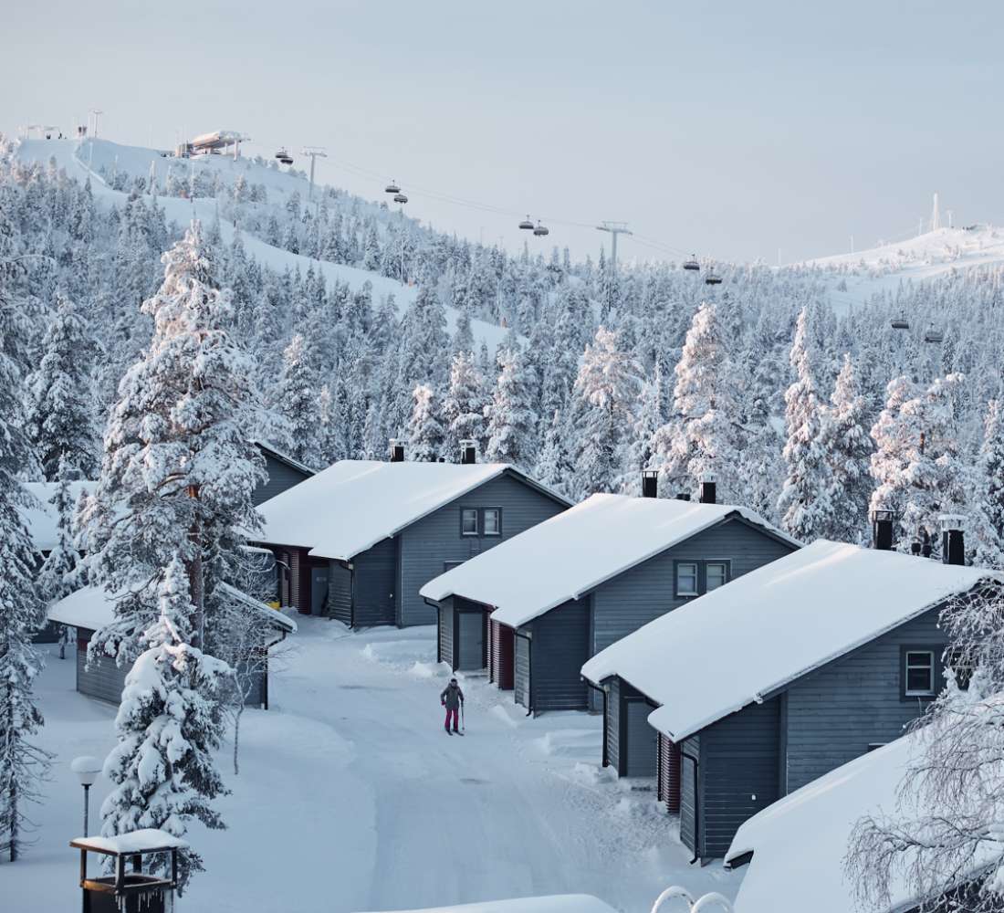 Ski-Inn MastonAitio80 dynaamiset talvi.jpg