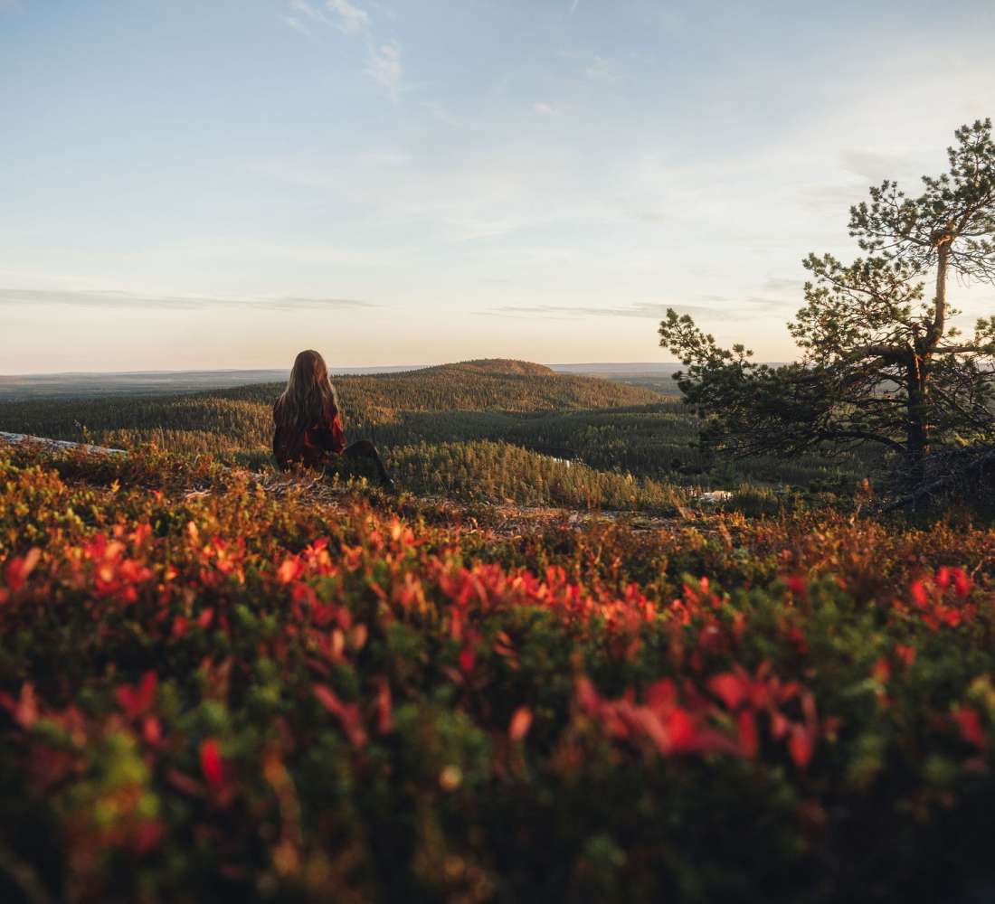 Autumn colors on the ground in Ruka-Kuusamo. Photo Eeva Mäkinen