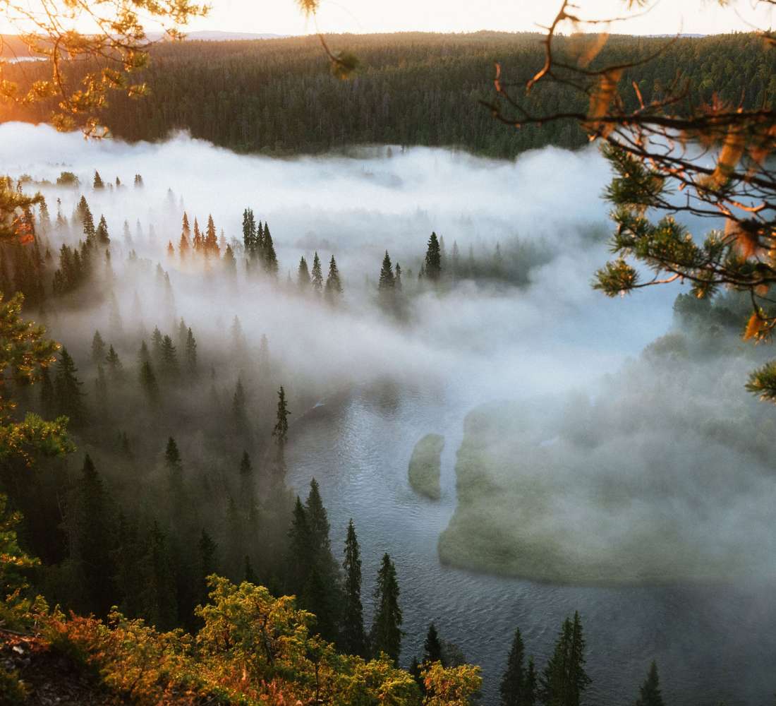 Päähkänäkallio in Oulanka National Park. Image Eeva Mäkinen