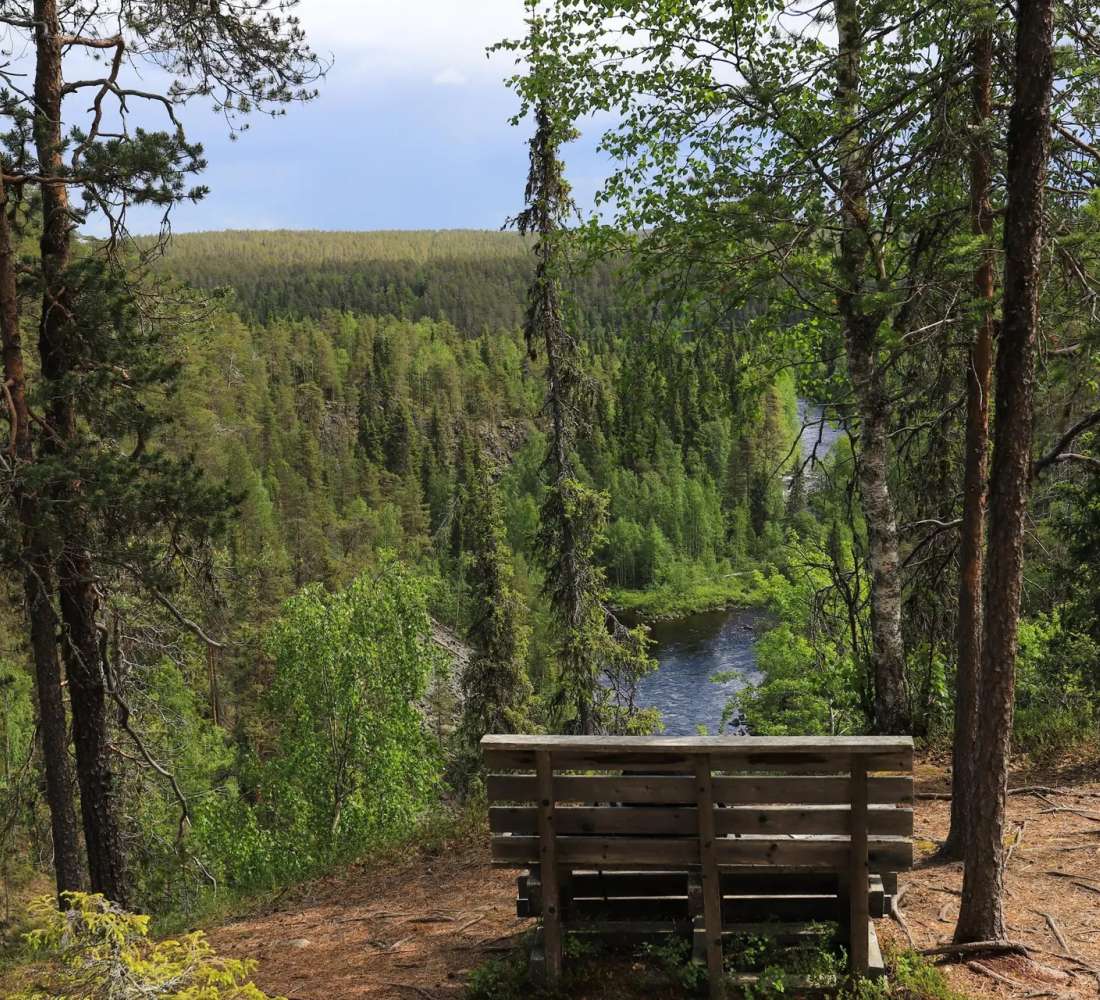 Oulangan kanjoni, kuva Minna Niinistö / Metsähallitus