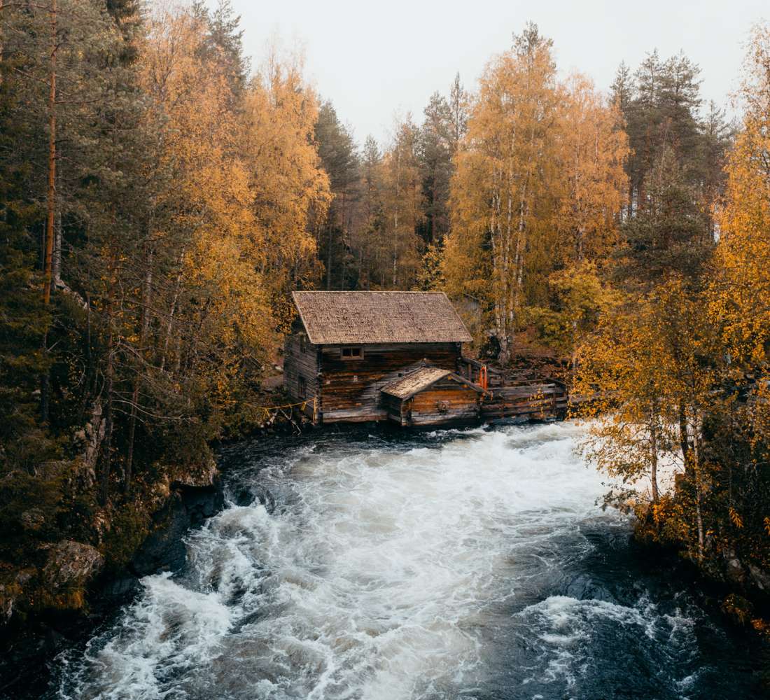 Myllykoski hanging bridge and hut in autumn colors. Photo Robert Bohnke