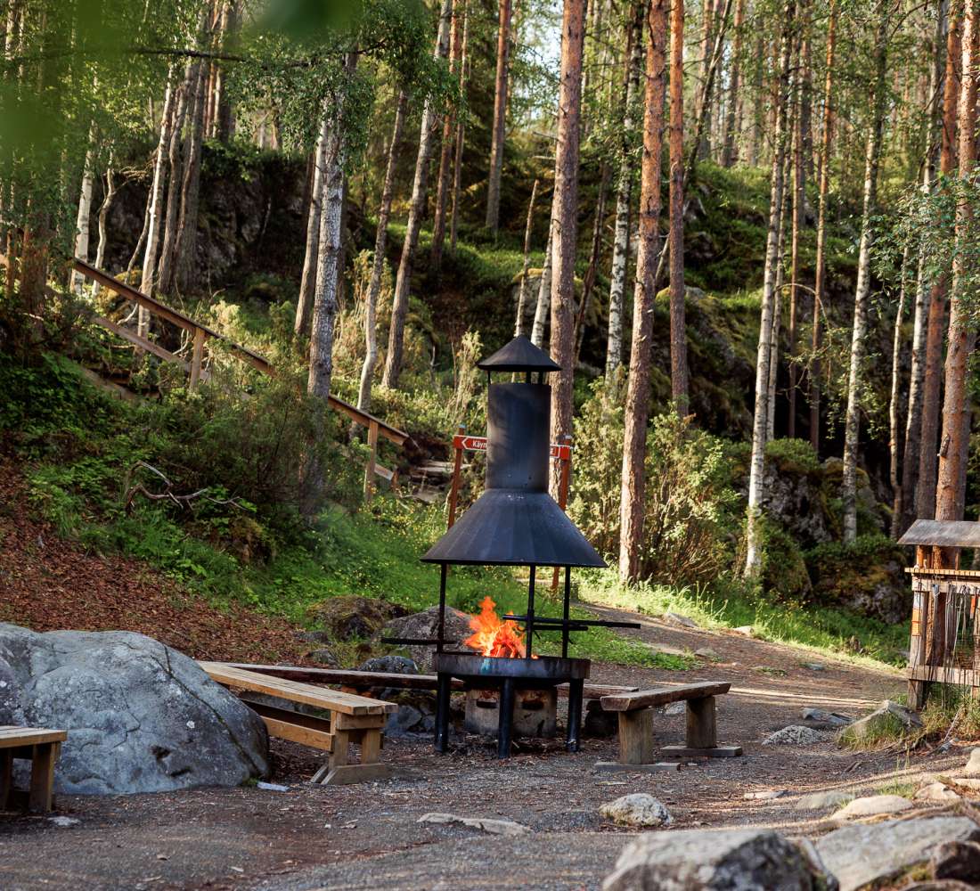 Myllykosken tulipaikka kesällä, Kitkajoki, Oulangan kansallispuisto. Kuva Mikko Santasalo