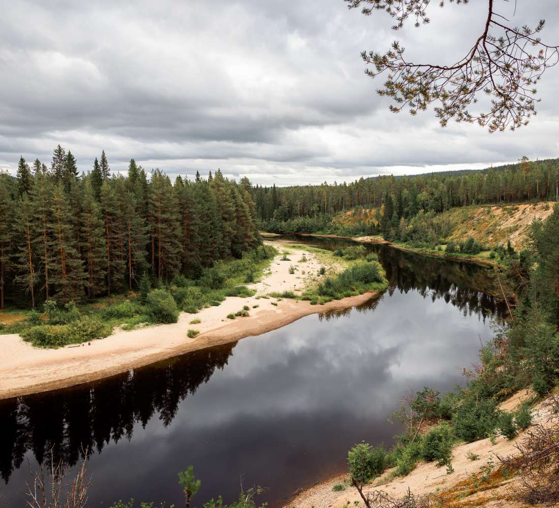 Oulankajoki Oulangan kansallispuistossa kesällä. Kuva Mikko Santasalo