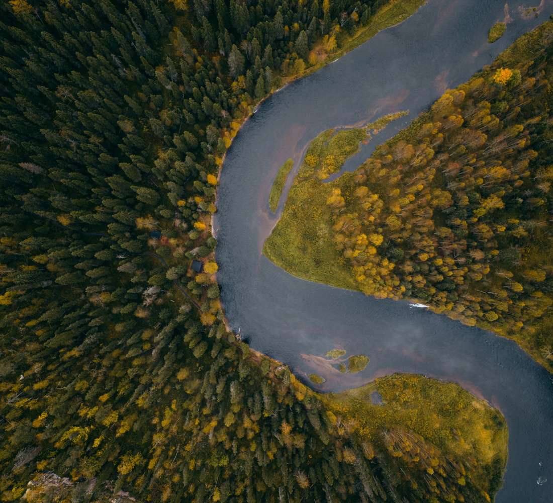 Oulankajoki Oulangan kansallispuistossa syksyllä. Kuva Robert Bohnke