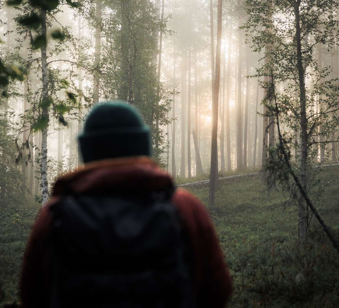 Vaeltaja usvaisessa metsässä Oulangan kansallispuistossa. Kuva Mikko Santasalo