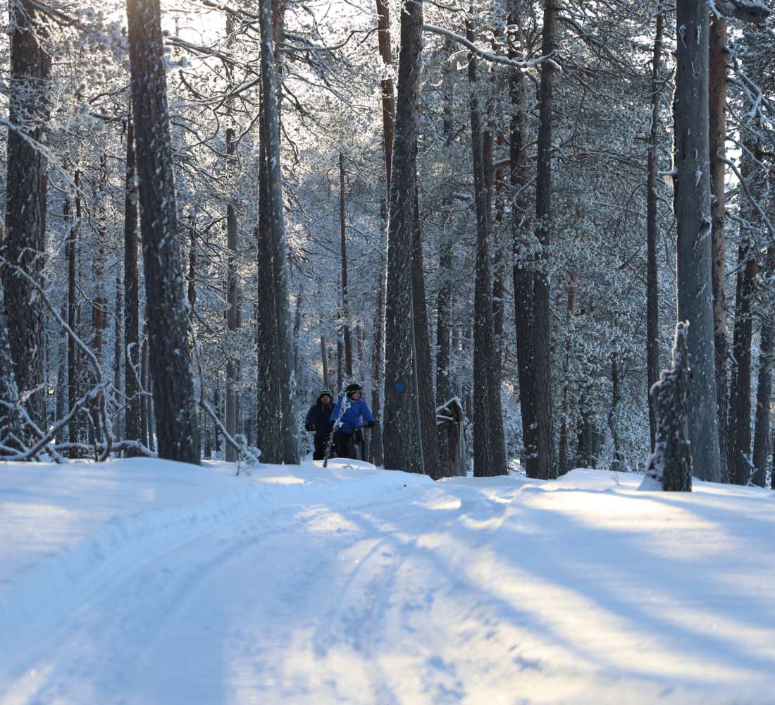 Fatbike-pyöräilyä Hossassa. Kuva Kainuun Luontoretket