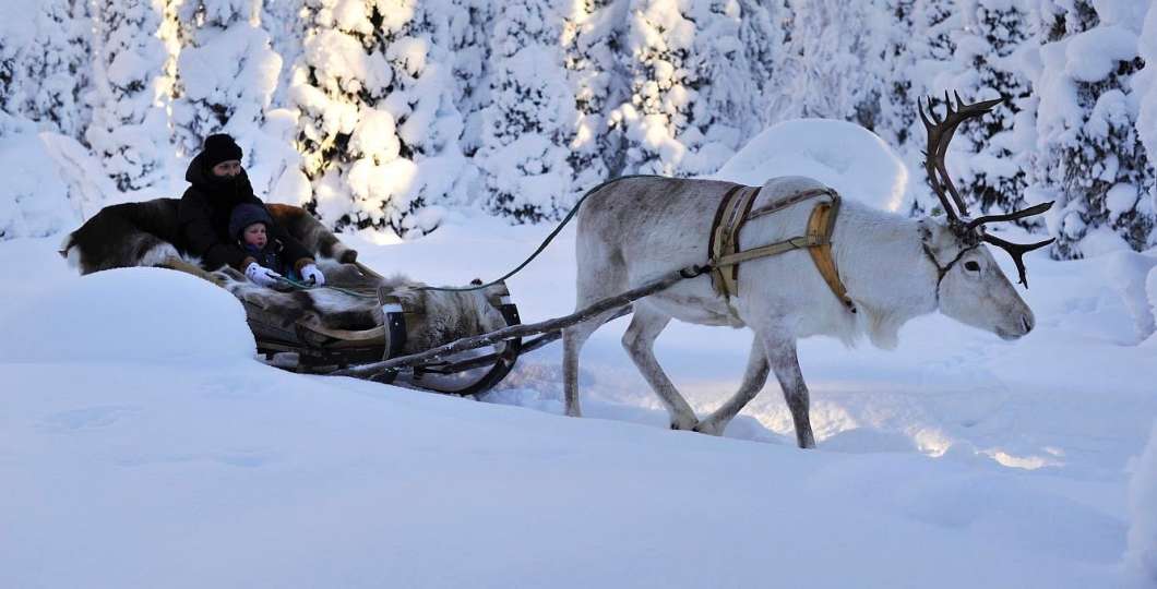lammintupa poroajelu reindeer ride