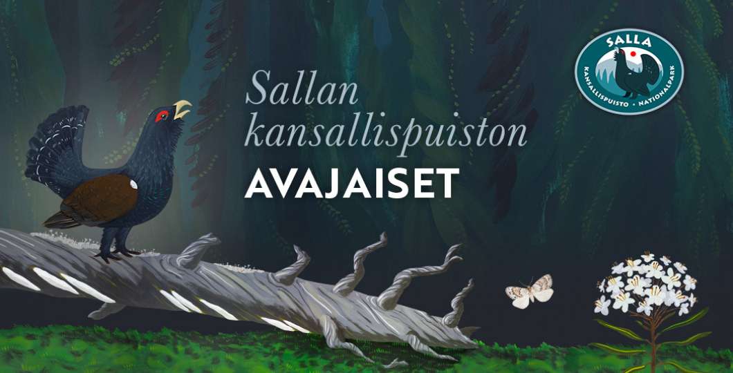 Sallan Kansallispuiston avajaiset 11.6.2022