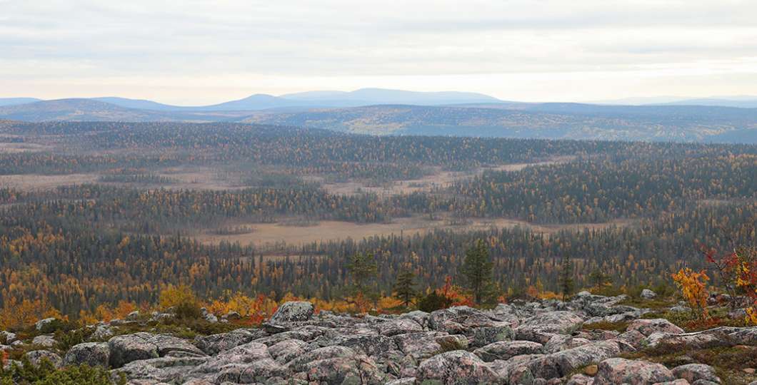 Sallan kansallispuisto kuva Juha Paso