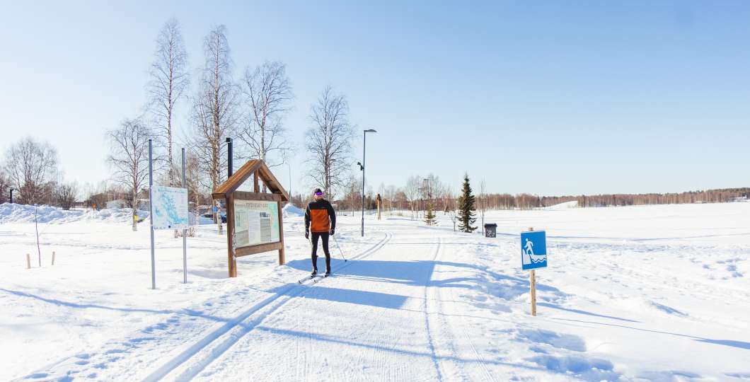 Hiihtäjä Kuusamon laduilla, kuva Maija Koskinen/Naturpolis/Maan pinnalla