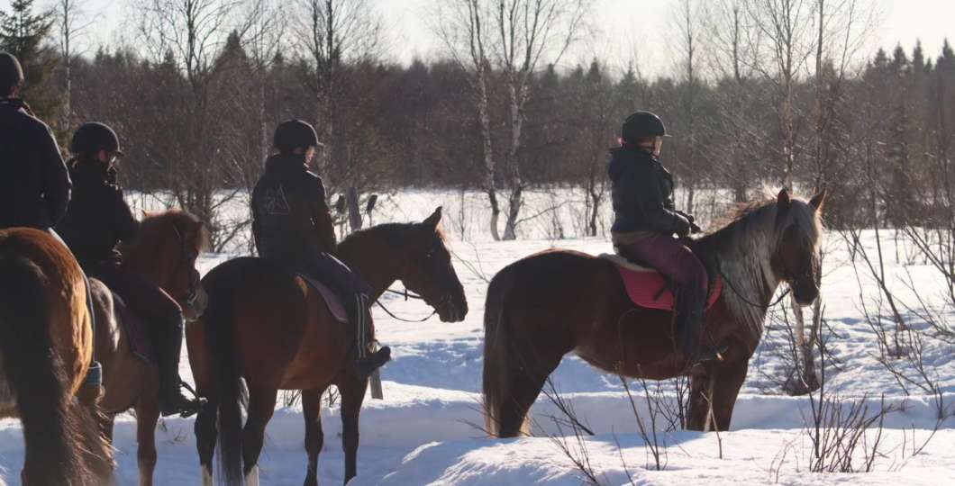 Ratsutalli Runo, hevoset talvimaisemassa