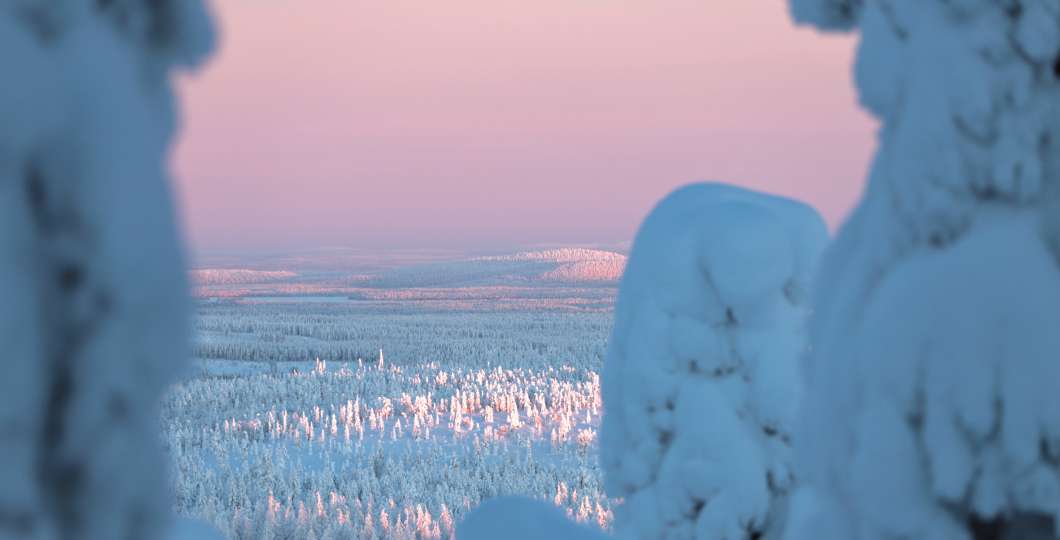 Tykkylumipuut Ruka-Kuusamon talvessa, kuva Salla Karhumaa