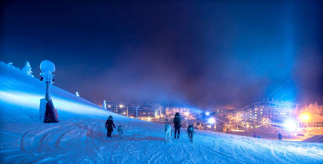Kujalan Porotilan Poro rukalla
