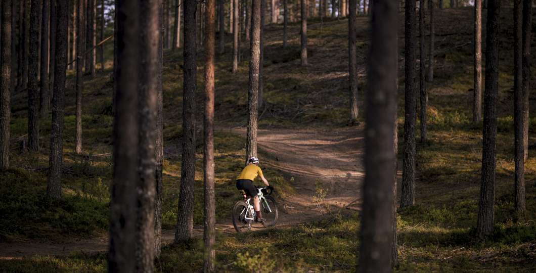 rukakuusamo_lapland_finland_gravel_PhilipGale (24).jpg