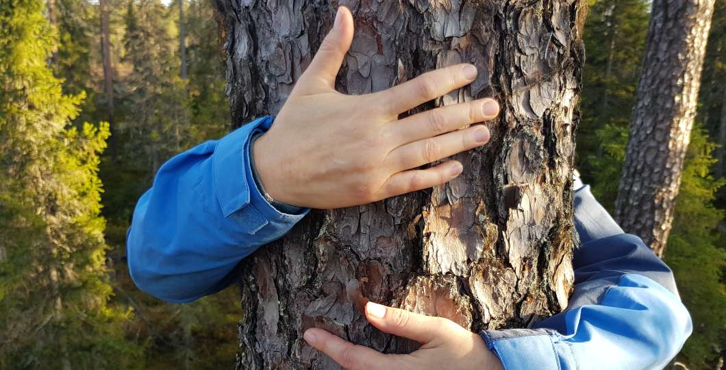 forestyoga