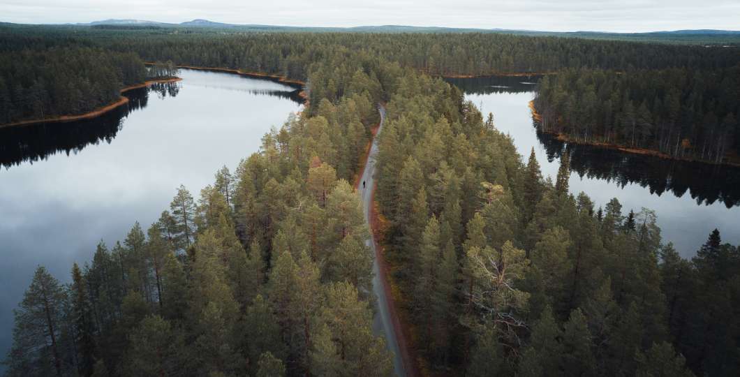 Korpi Gravel_syksy_Oulanka Wild Ride