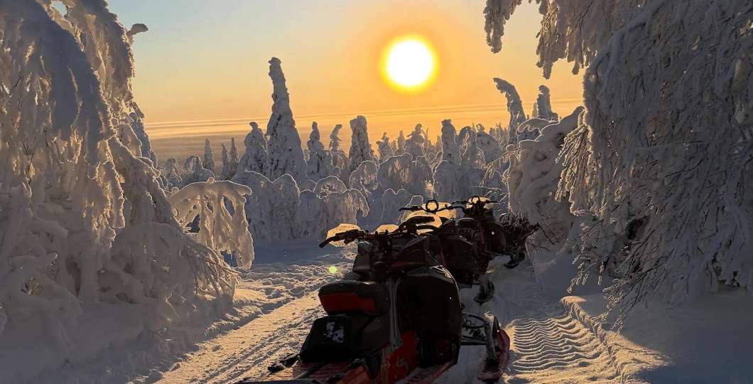 Moottorikelkka auringonlaskussa tykkypuiden keskellä. Kuva Stella Polaris Adventures